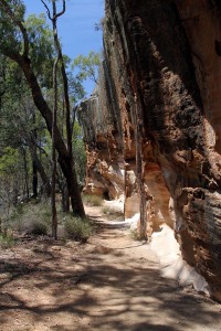 Yaminba Sandstone Caves - PilligaNR091114 (11)