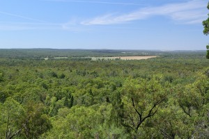 Yaminba Sandstone Caves - PilligaNR091114 (17)